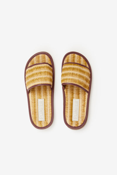 ADA SLIDE OCRE