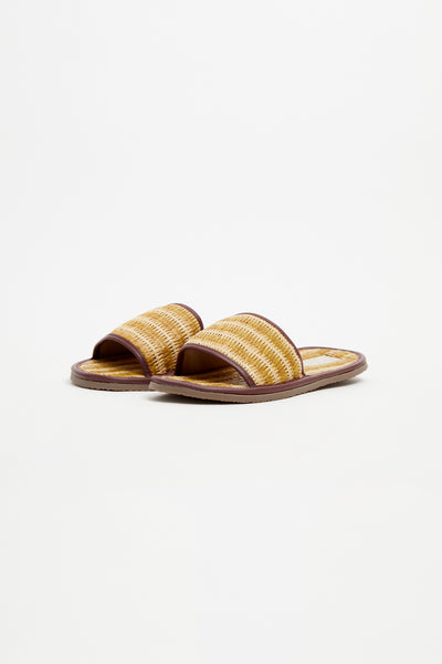 ADA SLIDE OCRE
