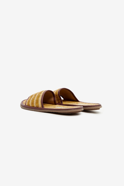 ADA SLIDE OCRE