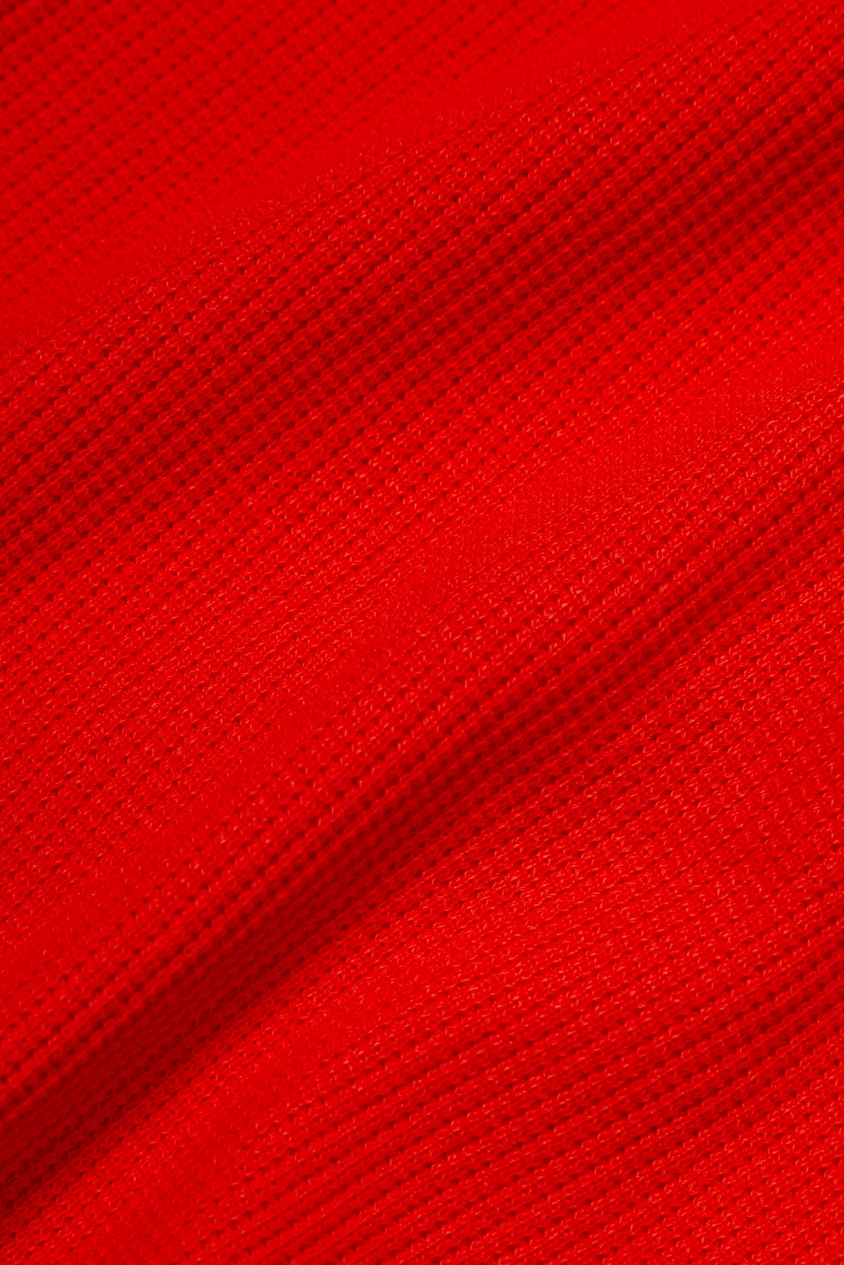 RACING POLO SWEAT