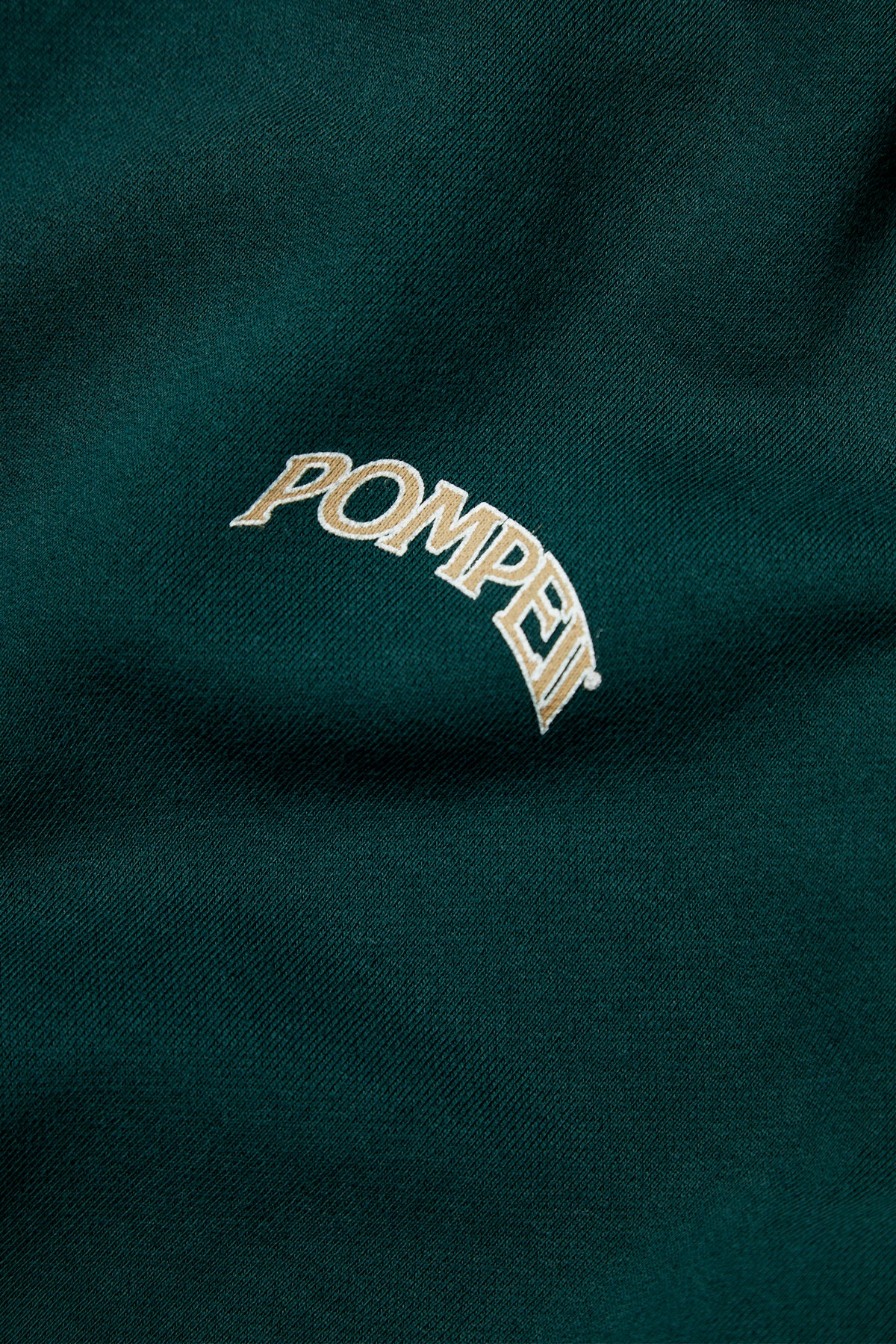 FOUNTAIN PINE GRAPHIC CREWNECK