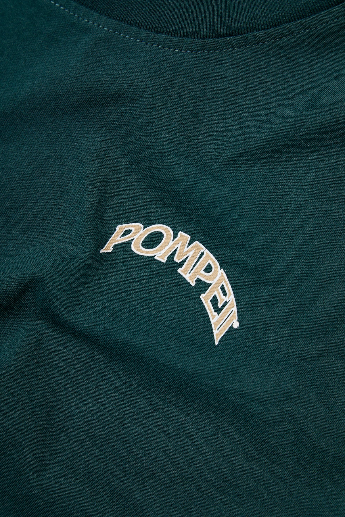 FOUNTAIN PINE REGULAR GRAPHIC TEE