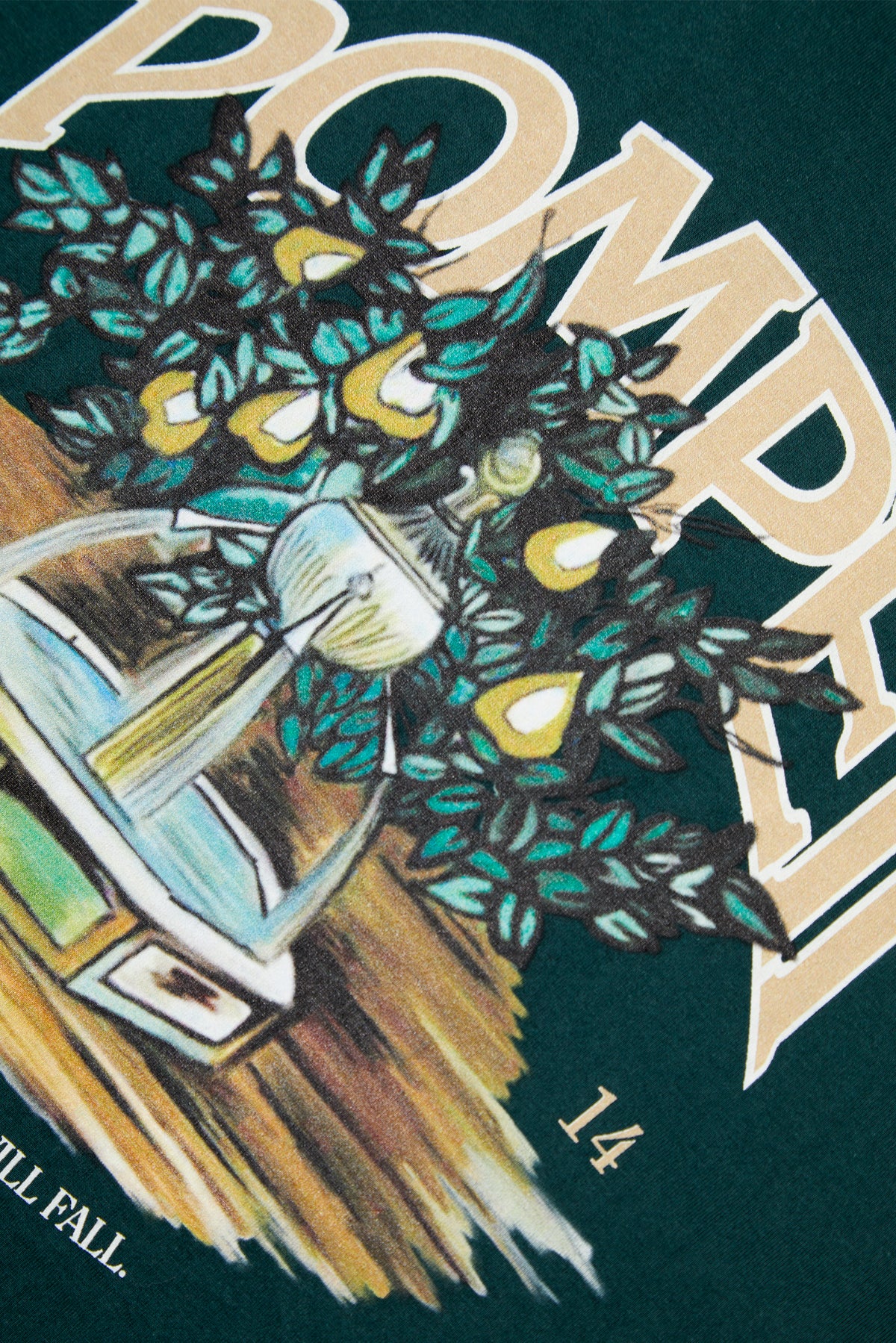 FOUNTAIN PINE REGULAR GRAPHIC TEE