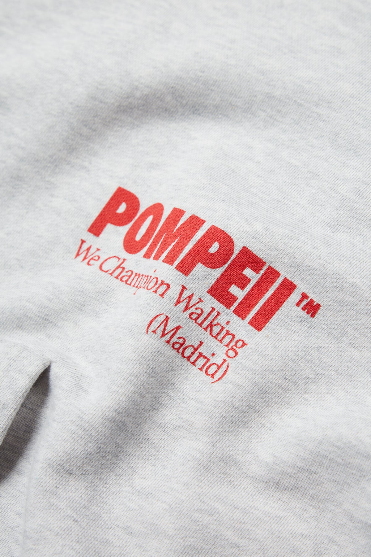 POMPEII LIGHT GREY MELLANGE REGULAR HOODIE