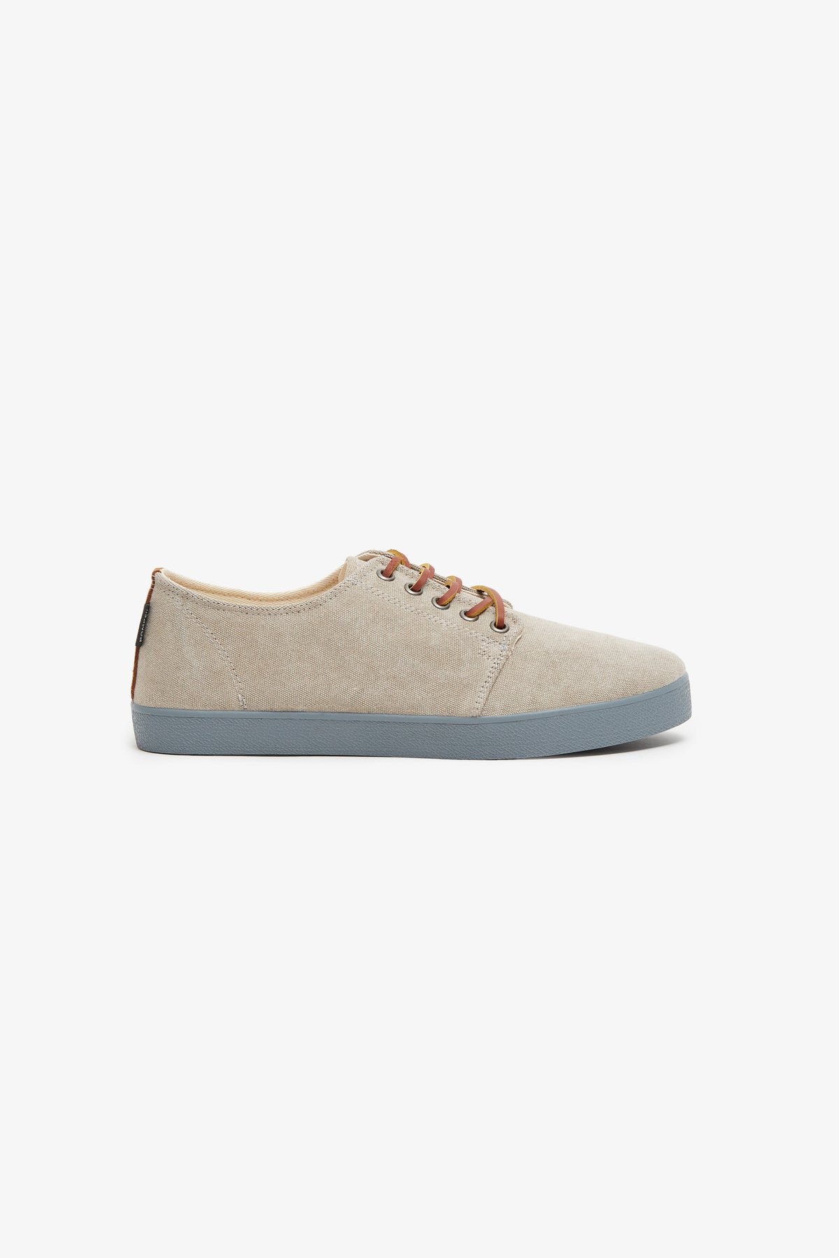 HIGBY CANVAS ROC PIGEON