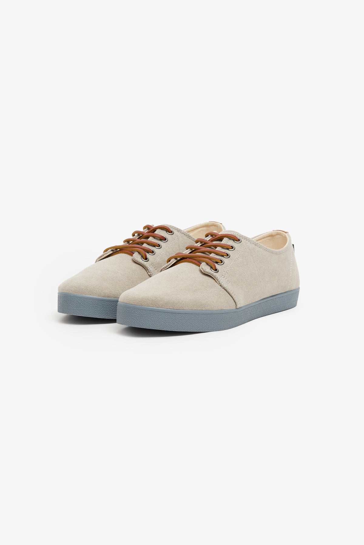 HIGBY CANVAS ROC PIGEON