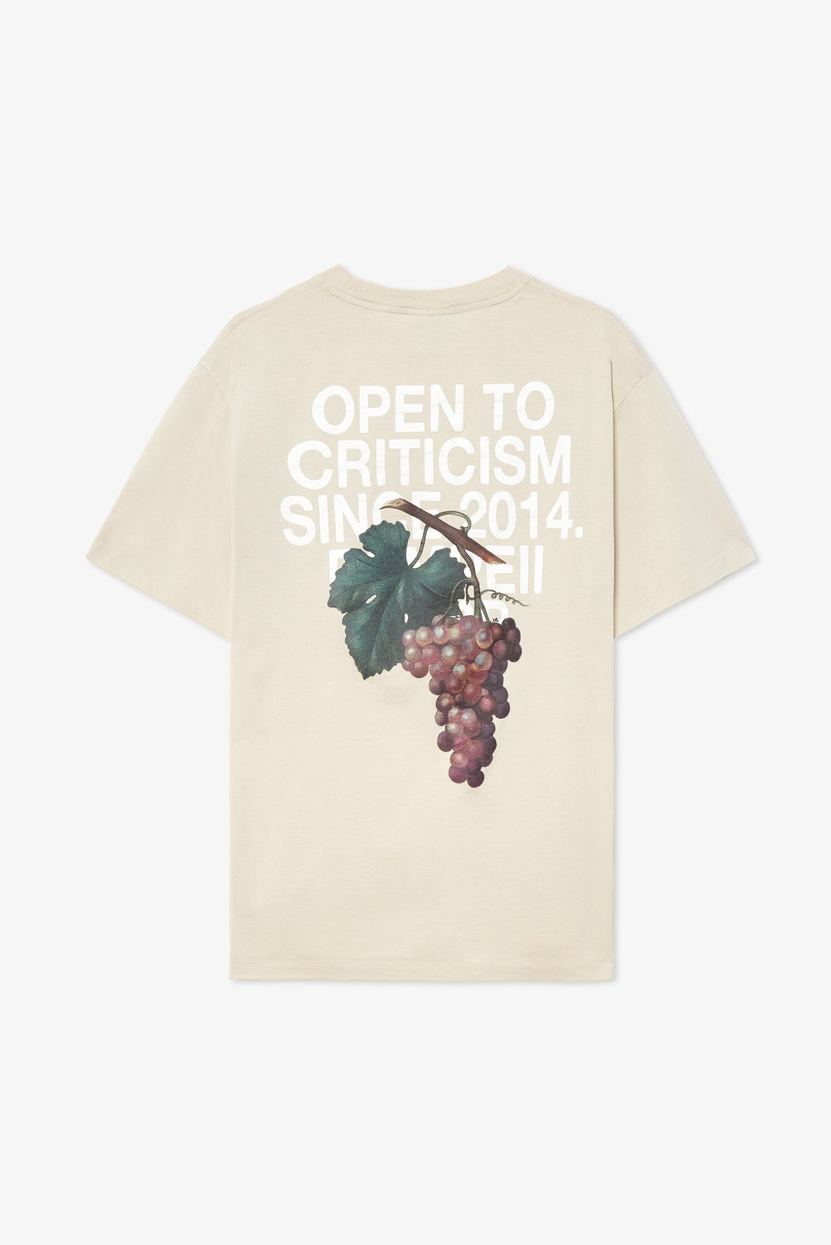 OPEN TO CRITICISM OAT TEE