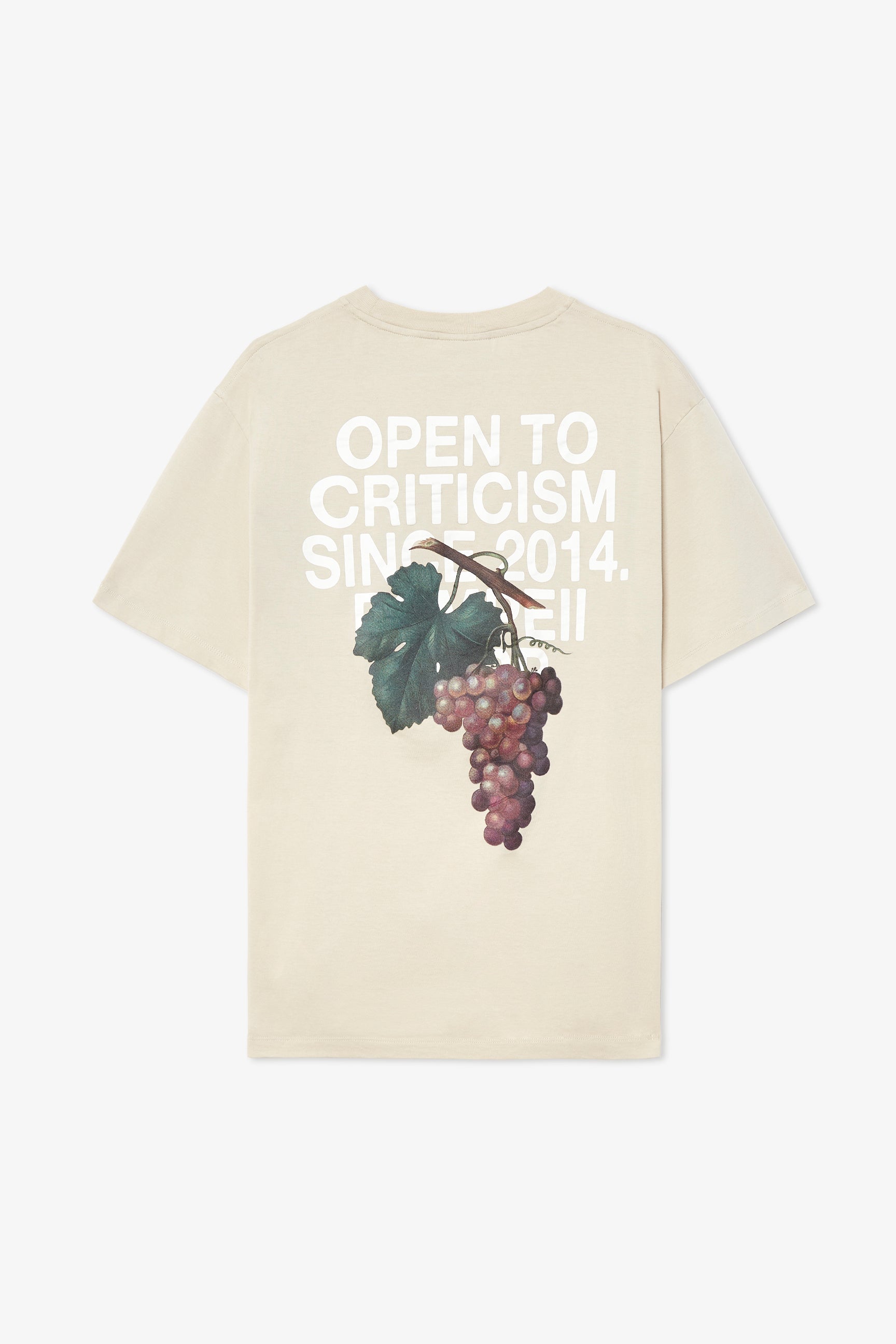 OPEN TO CRITICISM OAT TEE