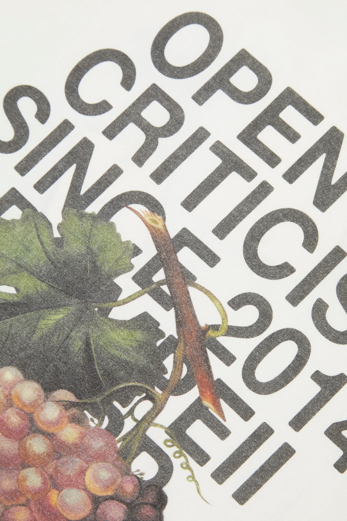 OPEN TO CRITICISM OFF WHITE TEE