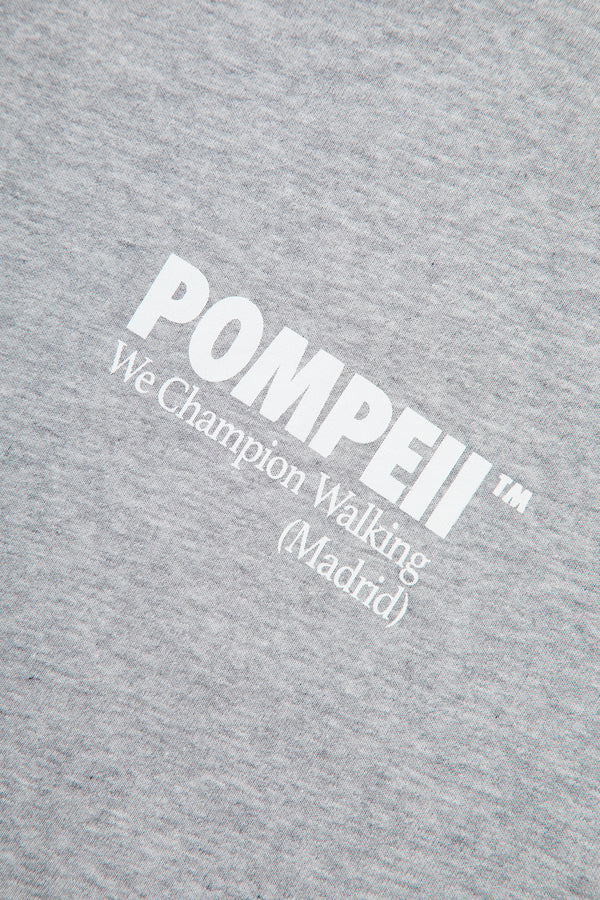 POMPEII GREY TEE